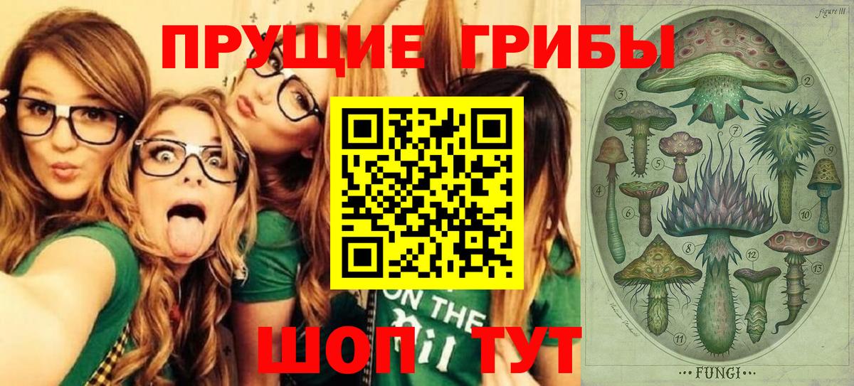 Псилоцибиновые грибы Magic Shrooms Дмитров