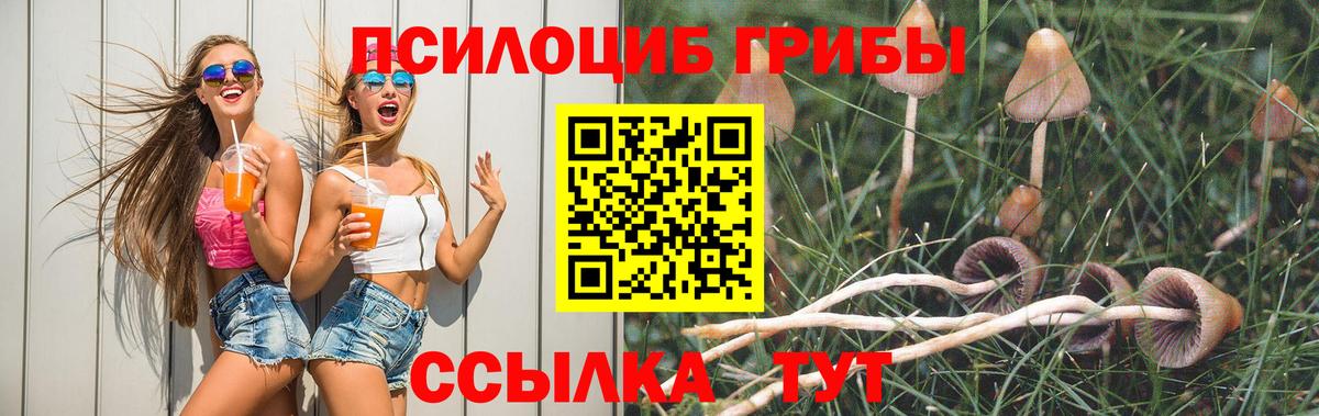 Псилоцибиновые грибы мицелий  Вход с VPN  Псилоцибиновые грибы Magic Shrooms  Дмитров 